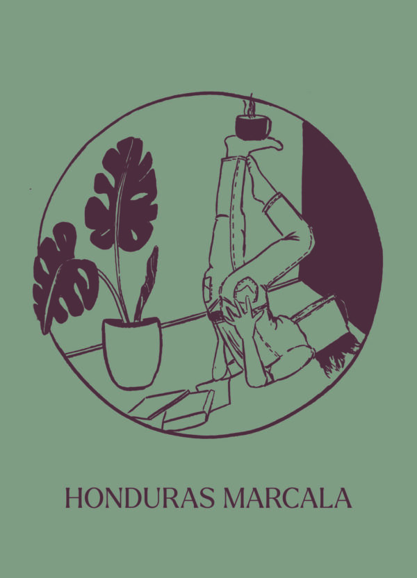 Honduras Marcala – Bild 2