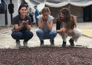 Kaffeereise Nicaragua 2