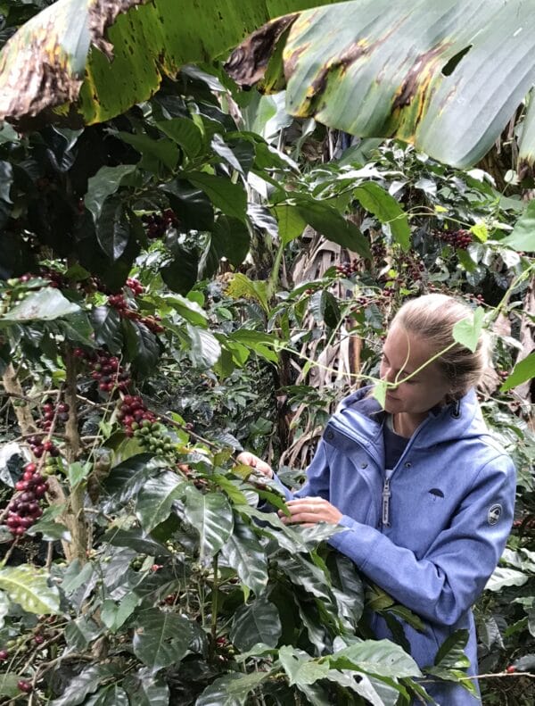 Colombia Supremo – Bild 6