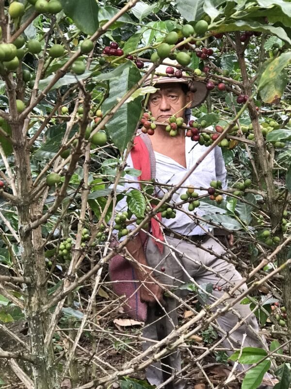 Colombia Supremo – Bild 8